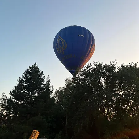 The View ايوافا